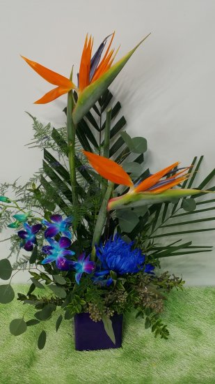0 Birds of Paradise with Orchids to delight - Click Image to Close