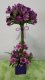 0 A Purple Topiary