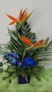 0 Birds of Paradise with Orchids to delight
