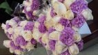 White Roses with Mauve Carnations - Bridal Set